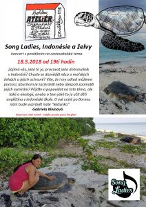 Song Ladies, Indonésie a želvy